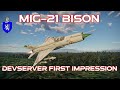 Dev server first impression  mig21 bison