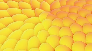 Blender Tutorial - How to import a python script