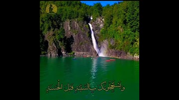 حالات واتس اب دينيه عراقية 🎧 القارئ عبيدة موفق ماتيسرة من الرعد