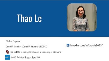 Thao Le - DEMO RedLine Stealer Malware Traffic Analysis - Hackbright Walmart Final Capstone Project