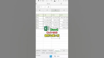 【知らなきゃ損】Excel神ワザ！Ctrl＋Wでウィンドウ秒速クローズ💡#Excel神ワザ #CtrlW #ウィンドウ閉じる #作業効率化 #業務効率化 #経理の味方