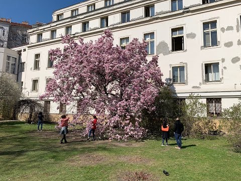 Video: What Attracts Tourists To The "dancing House" In Prague