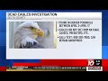 Michigan DNR investigates after 5 bald eagles found dead in U.P.