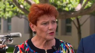 ‘I’ll stand my ground and what I believe in’: Hanson defends stunt after Senate ban
