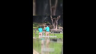 轻松愉快的周末时光 #睿宝辉宝