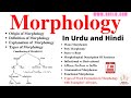 Morphology word formation in morphology morphological analysis sentence types of morpheme pdf