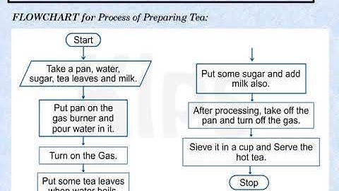 class 5 - computer science - november video - Lesson 8 Algorithm and Flowcharts