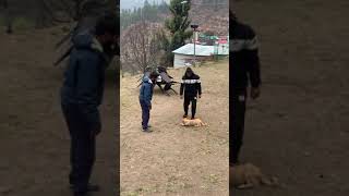 IMG 1054