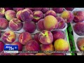 South Africa begins stone fruit exports to China under new trade protocol