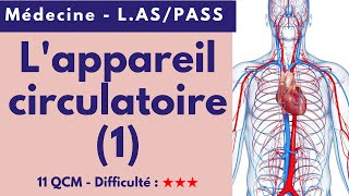 L'appareil circulatoire (1) - Médecine - L.AS/PASS - 11 QCM - Difficulté : ★★★