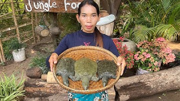 Turtle Soup Recipe | How to cook turtle