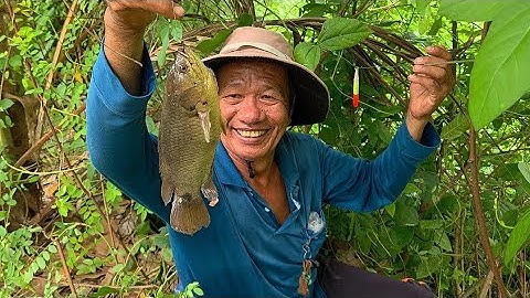 Tập 140 - Câu Cá Rô Đồng Mới Vô Mà Bác Trai Mở Hàng Con Cá Cỡ Này Rồi | Trương Rô Miền Tây