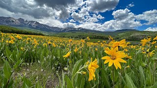 Last Dollar Road, Box Canyon Falls & Woods Lake  Ouray, Colorado