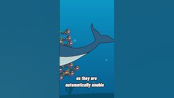 What if a Whale Swallows You?