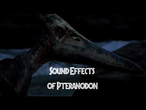 Jurassic Park /// - Pteranodon Sound Effects