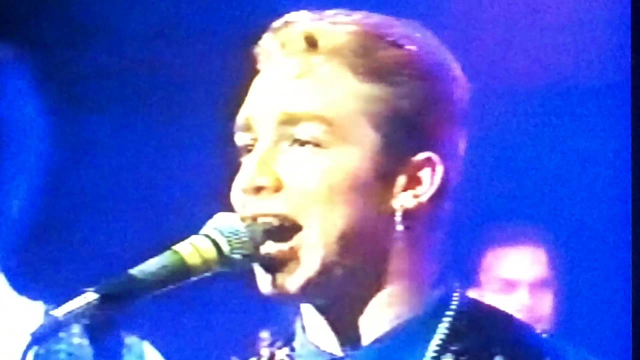 Merengue Caña Brava - Apolo Estudio Chile