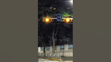 새벽 신호등을 촬영하다 무단 횡단자를 찍었네.^^