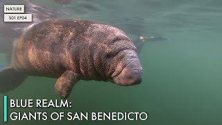 Blue Realm: Giants Of San Benedicto