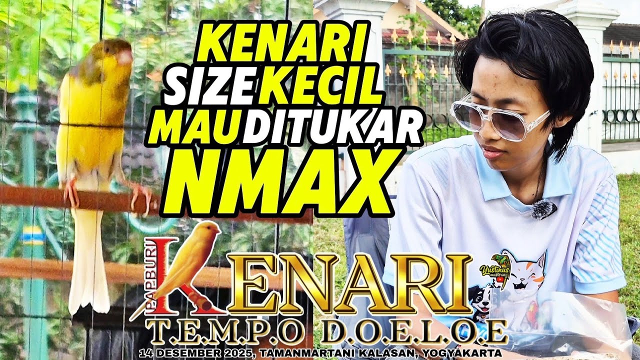 VLOG GANTANGAN‼️Ketemu KENARI KECIL yg mau dituker NMAX di Gelaran PAPBURI PUSAT YOGYAKARTA...