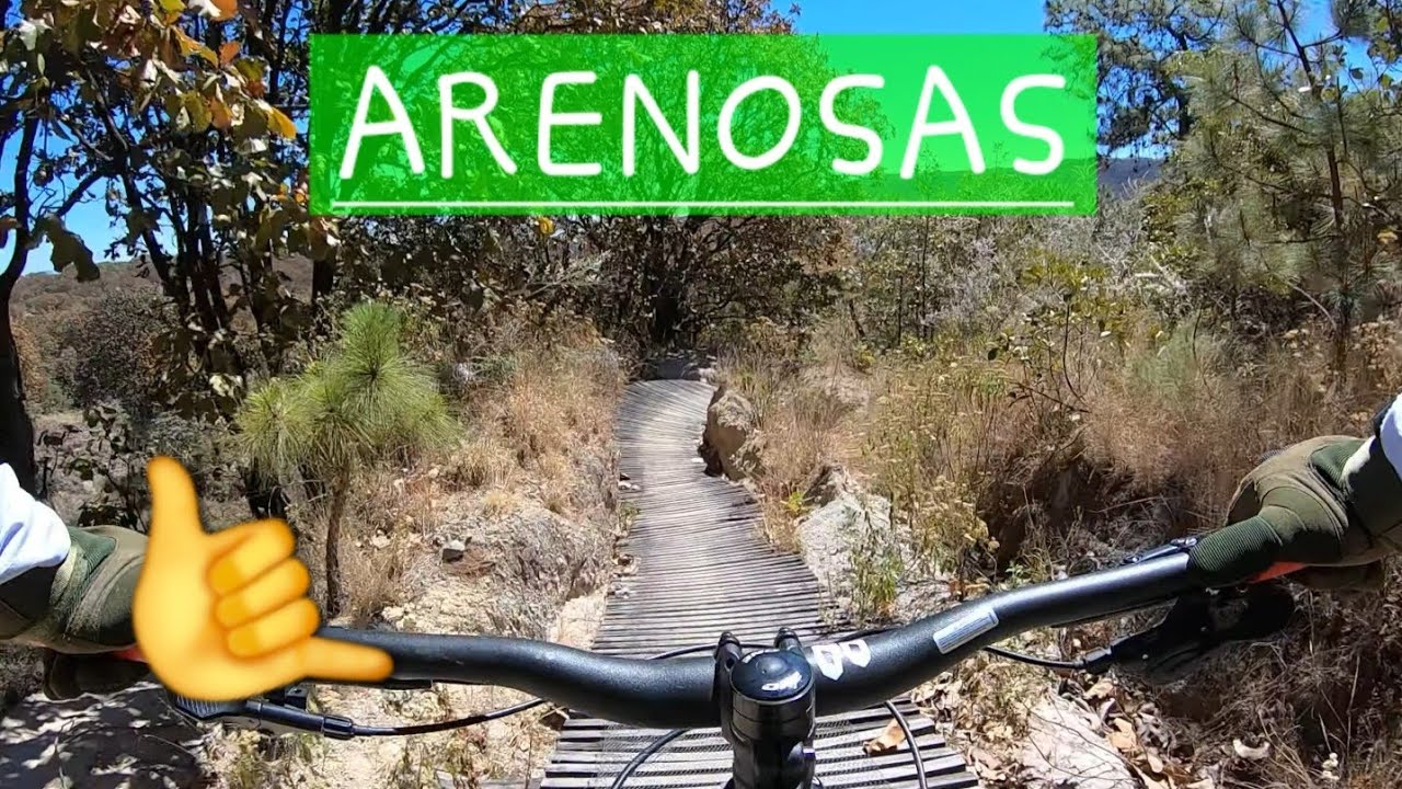 MTB/de vuelta en ARENOSAS, bosque de la primavera