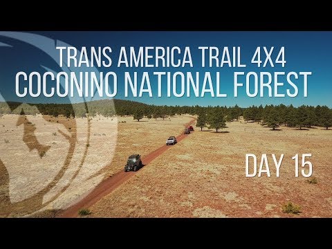 Vidéo: Coconino National Forest : Le guide complet
