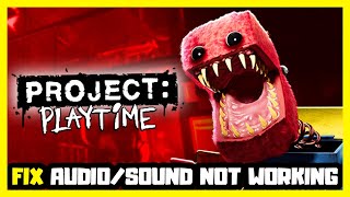 How to FIX PROJECT: PLAYTIME No Audio/Sound Not Working