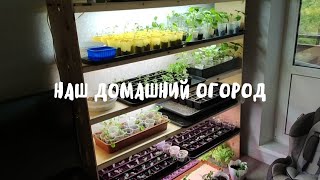 VLOG: НАШ ДОМАШНИЙ ОГОРОД | 12.05.22