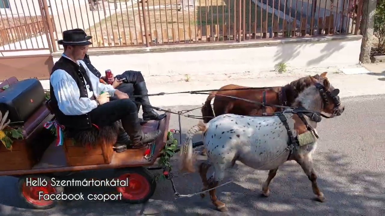 Szentmártonkátai Lovas felvonulás 2023 09.16.