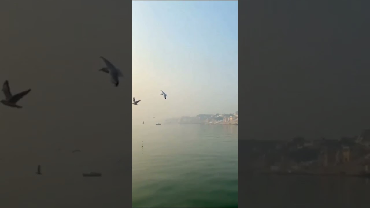 varanshi  scene fantastic views ❤️🎉🎉✨✨🌟🌟🙏🙏🌟✨✨🌟💫⭐💫🔥🔥