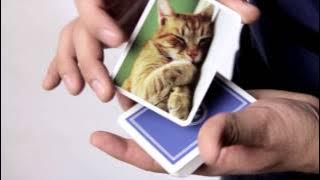 The Social Deck - by Soma (trailer)