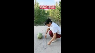 3x5n93nym5m84r2mp4