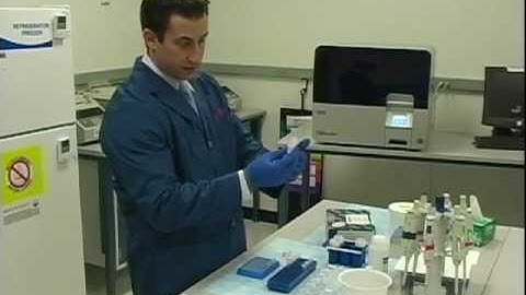 MinElute 2009 : 08 : LAB Mann