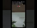 Rain vibes ☔❤️⛈️ #shortvideo #shorts #rainlove