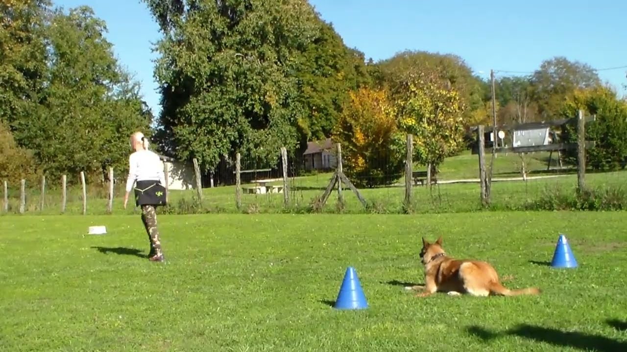 Stage Obé avec Patrice SICRE