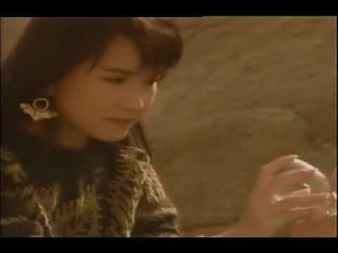 050 多少柔情多少梦   陈慧娴