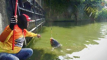 REJEKI NOMPLOK Mancing ikan di Pintu Air Keramat Nila Babon bermunculan senar sampei PUTUS