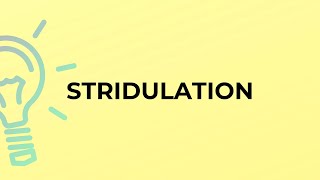 What is the meaning of the word STRIDULATION?