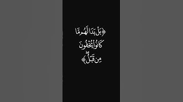 (ولو ردوا لعادوا) #قرآن #سورة_الأنعام #عبدالرحمن_ريس #ليدّبّروا_آياته #راحة_نفسية #شاشه_سوداء #quran