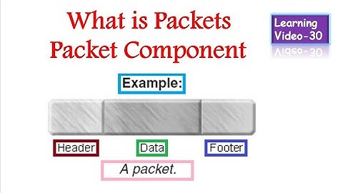 What is Packets ? Packet Components ?