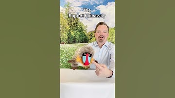 Puppet of the Day – Mandrill made by Sunny Toys – The Puppet Hideaway with Eric Thomsen