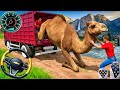 Animal Cargo Truck Driving Game 3D! Animal Transport Cargo Truck 2026 - Truck Drive Android Gameplay