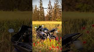 و تزداد جمالا !