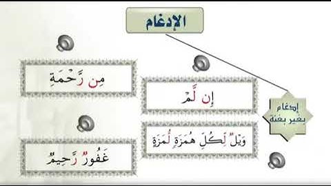 2  أحكام التلاوة والتجويد   أحكام النون الساكنة والتنوين   الإدغام360P