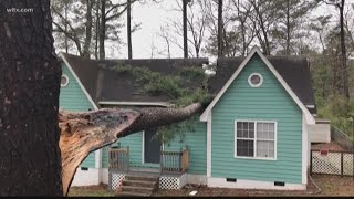Trees land on homes during late night storm