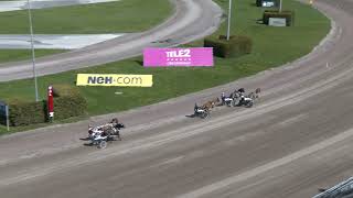 Lopp 4 ponnylopp 2026-05-17