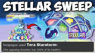 USING TERA STELLAR TERAPAGOS IN UBERS | Pokémon Showdown Ubers by Krizzler 293 views 4 months ago 3 minutes, 4 seconds