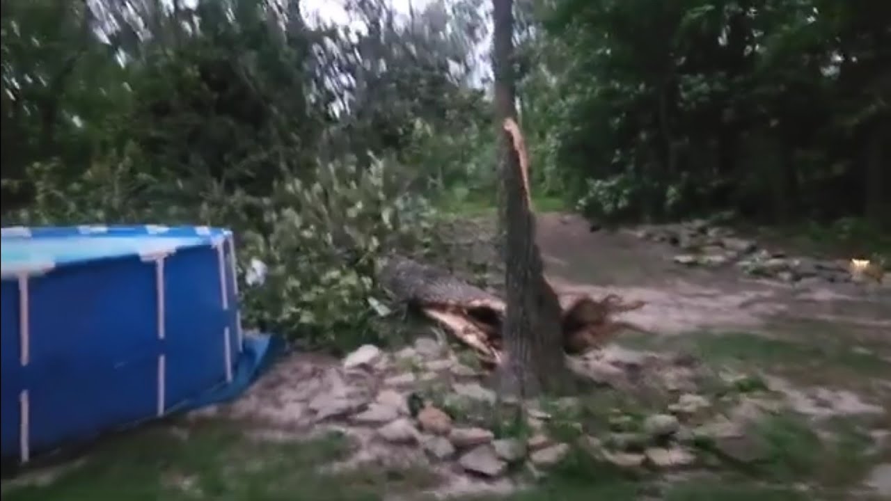 Just got hit with a nasty storm. A big old Oak tree smashed down on my ...