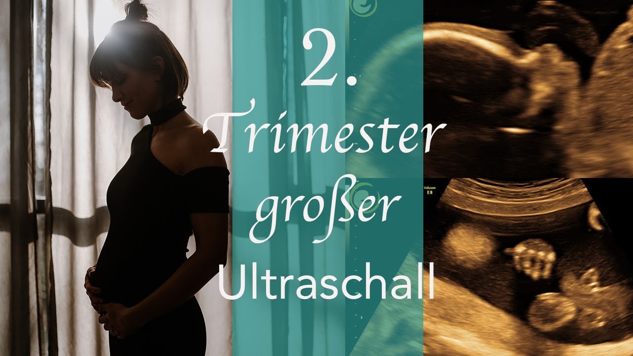 schwangerschafts-update-21-ssw-feindiagnostik-mein-aktuelles