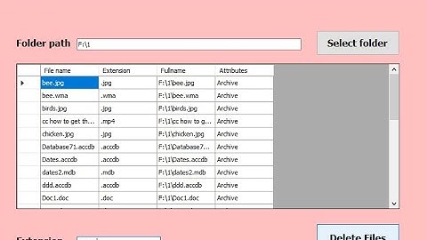 Programming in Visual Basic.NET: Delete Files from selected folder depend on extension in VB.net