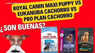 Analisis de Croquetas: Royal Canin Maxi Puppy vs Eukanuba Cachorro vs Pro Plan Cachorro